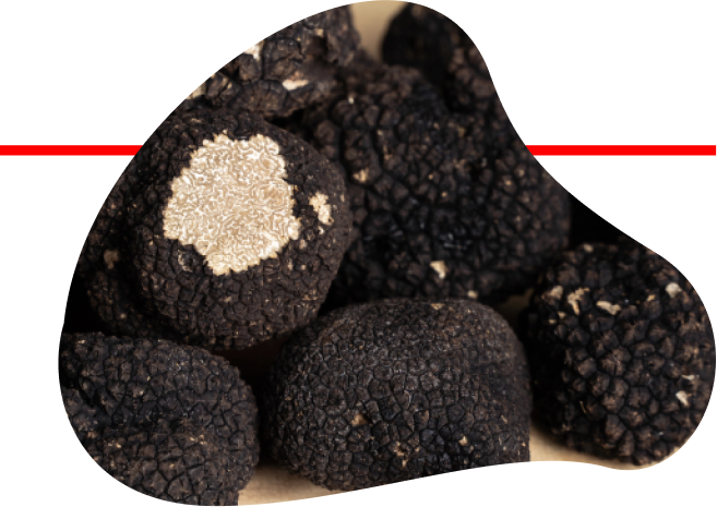 Nunzia Truffles